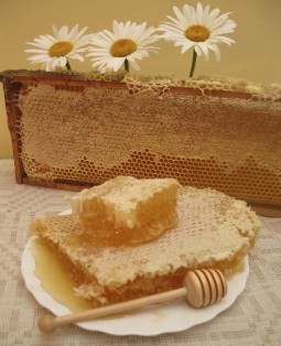 raw honey comb frame