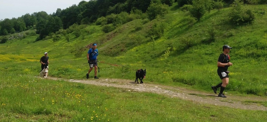 Моята Витоша 100 - 2016г.