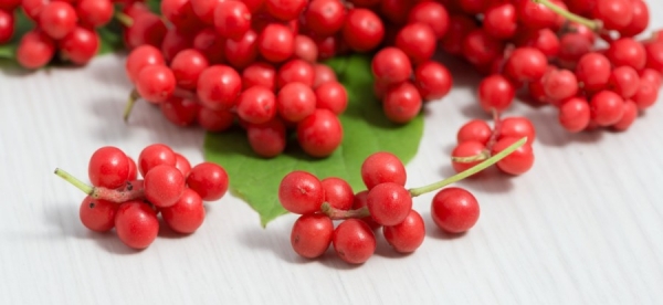 Шизандра - кралица сред билките