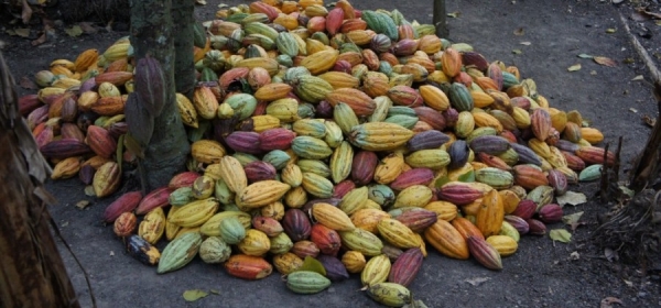 Кратка история на шоколада